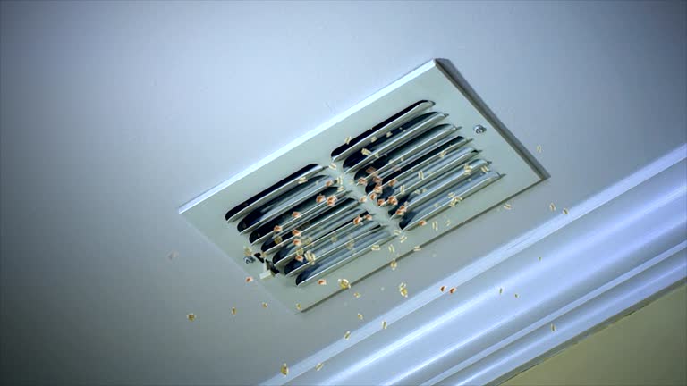 Best Professional Duct Cleaning Services  in Pegram, TN