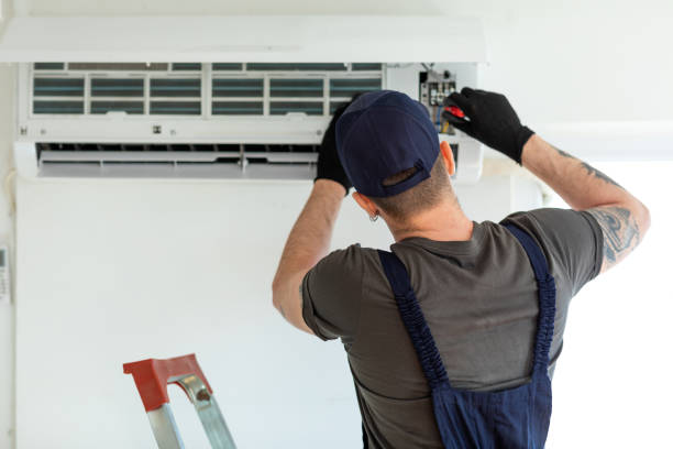 Best Air Duct Mold Removal  in Pegram, TN