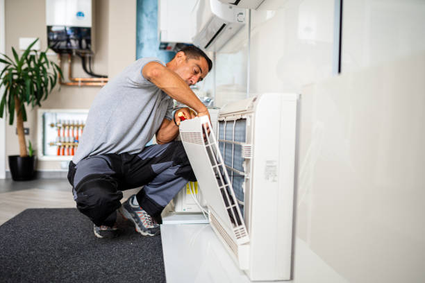 Air Duct Mold Removal in TN